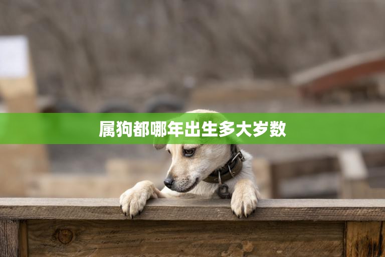 属狗都哪年出生多大岁数(狗年出生的人多大了)