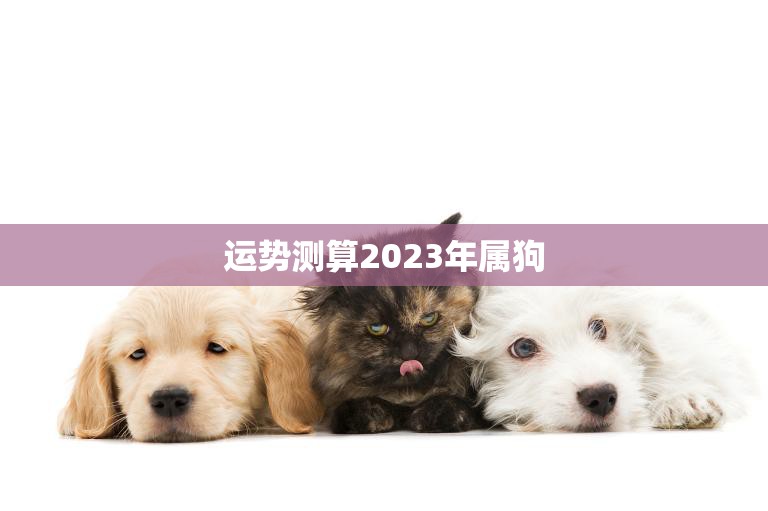 运势测算2023年属狗(狗年大吉财运亨通)