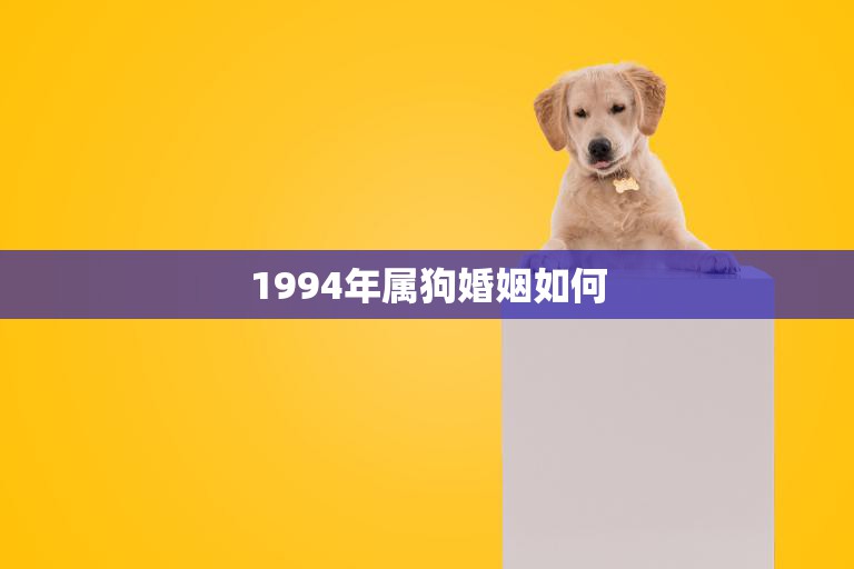 1994年属狗婚姻如何(幸福还是多波折)