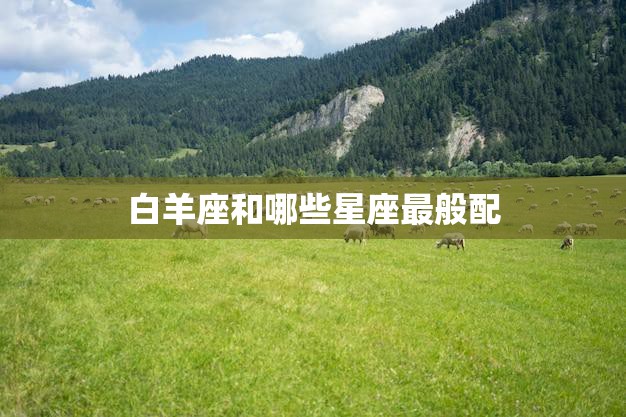 白羊座和哪些星座最般配(完美星座搭配大揭秘)