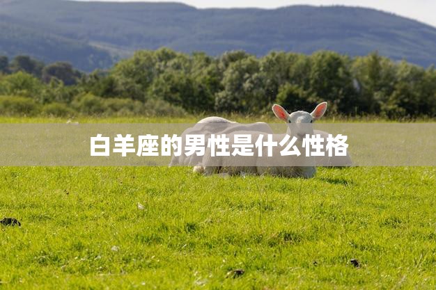 白羊座的男性是什么性格(探究热情、冲动、自信还是孩子气)