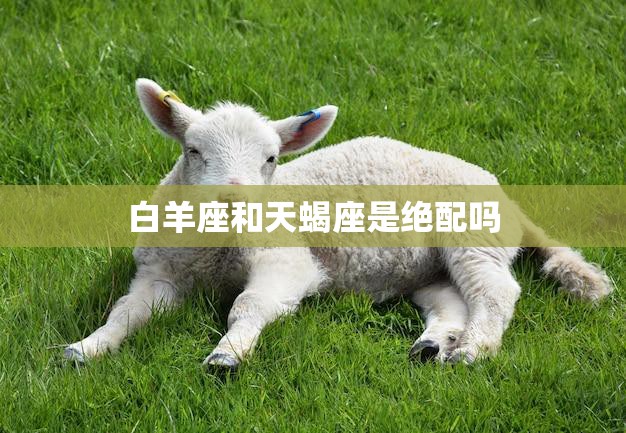 白羊座和天蝎座是绝配吗(星座专家揭秘真相)