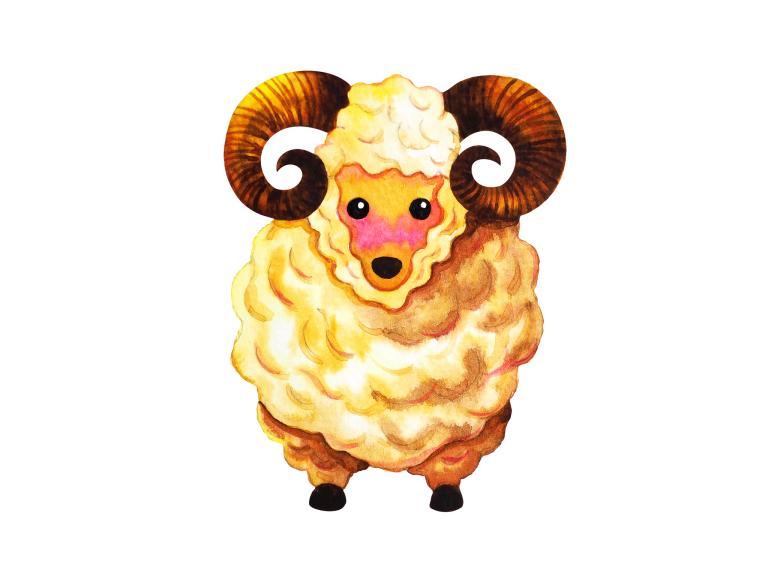 送白羊座男生什么礼物好(如何让他感受到你的关心)