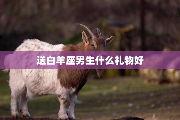 送白羊座男生什么礼物好(如何让他感受到你的关心)
