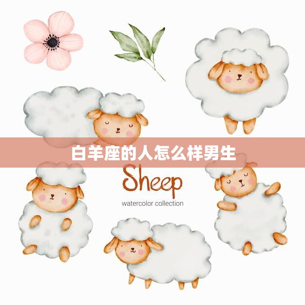 白羊座的人怎么样男生(性格特点解析)