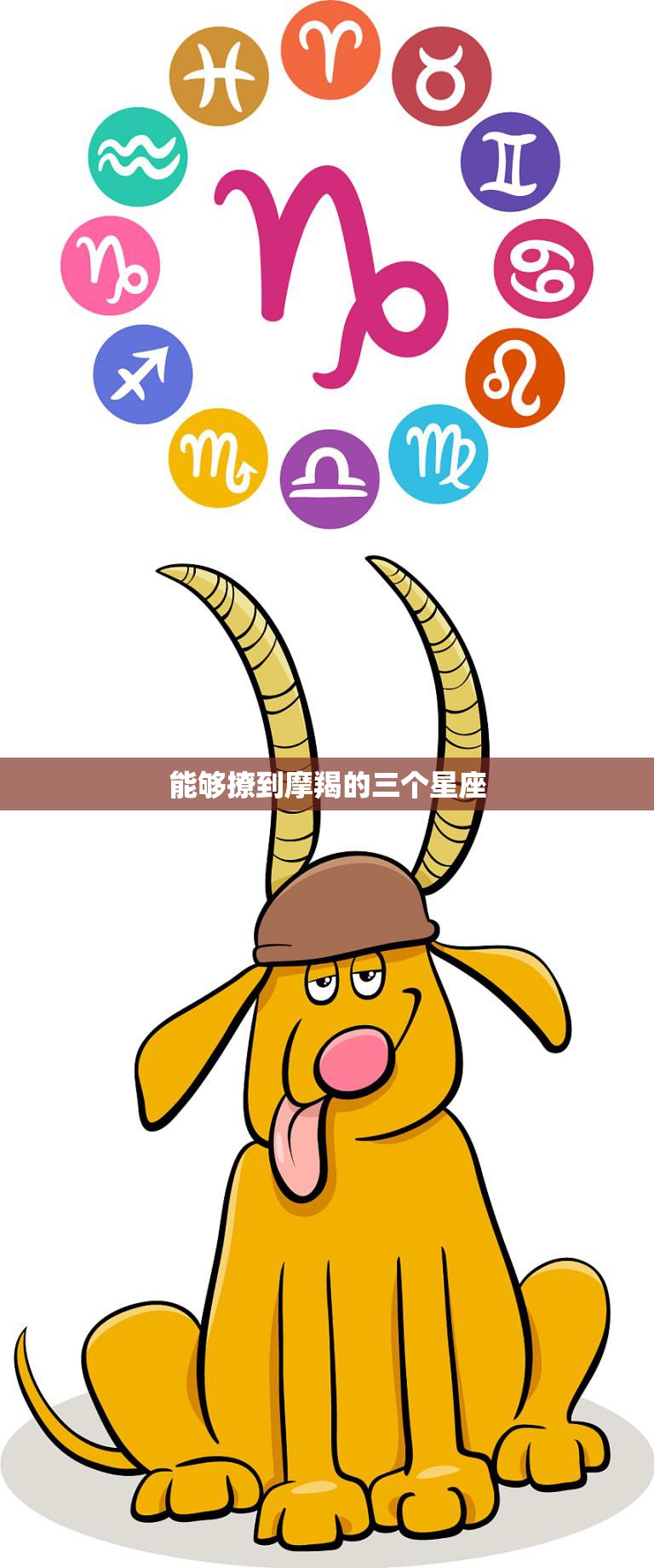 能够撩到摩羯的三个星座(揭秘哪些星座最容易吸引摩羯座)