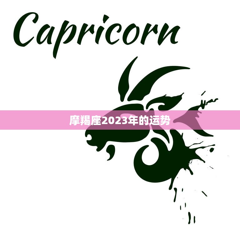 摩羯座2023年的运势(事业稳步上升财运亦旺盛)