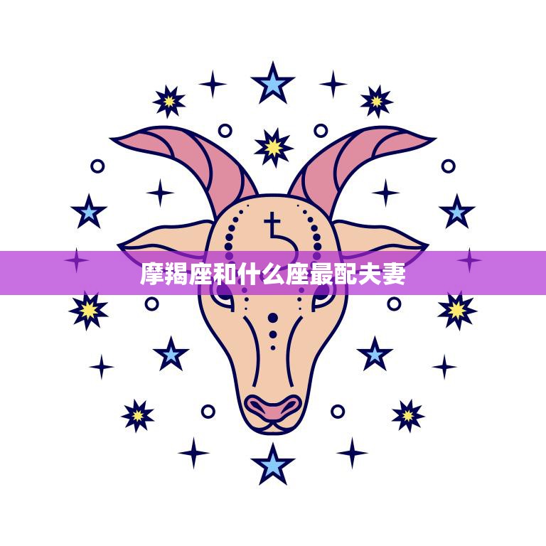 细腻的摩羯座和什么座最配的视图