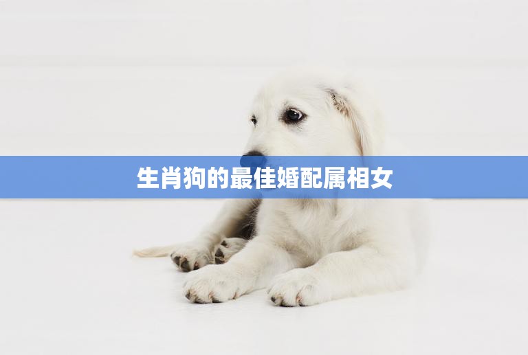 生肖狗的最佳婚配属相女(哪些属相女最适合与狗结婚)