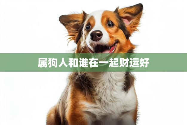属狗人和谁在一起财运好(最佳搭档大揭秘)