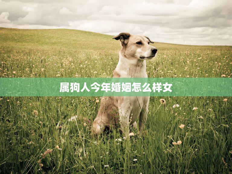 属狗人今年婚姻怎么样女(解析2023年属狗女婚姻运势)