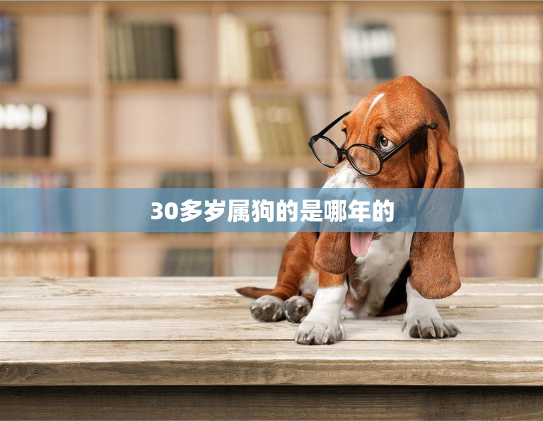 30多岁属狗的是哪年的(狗年出生的人现在多少岁)