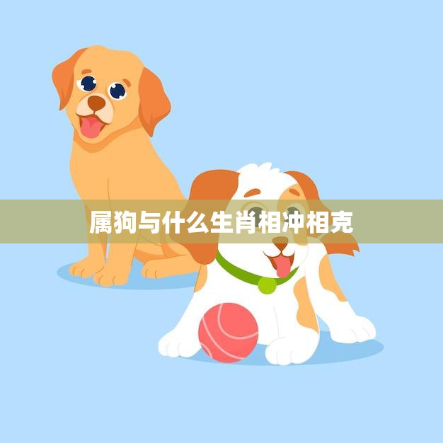 属狗与什么生肖相冲相克(十二生肖相克大揭秘)