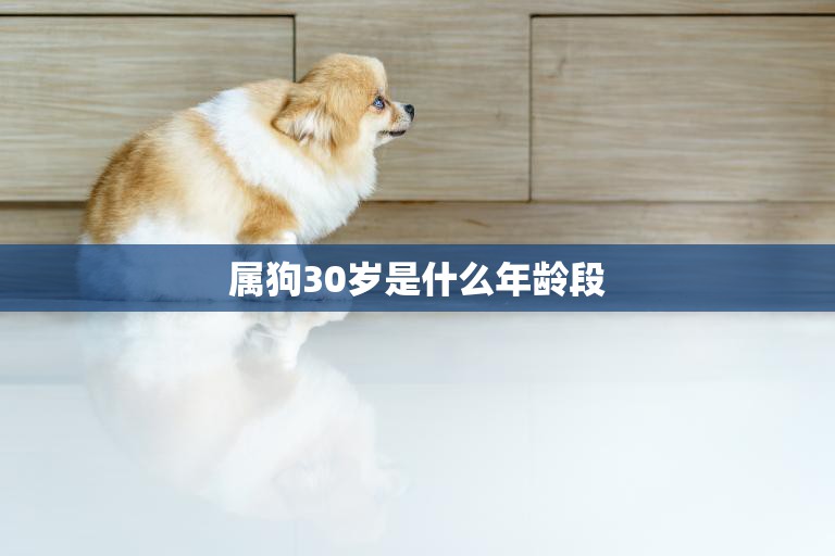 属狗30岁是什么年龄段(狗年出生的人步入人生的新阶段)