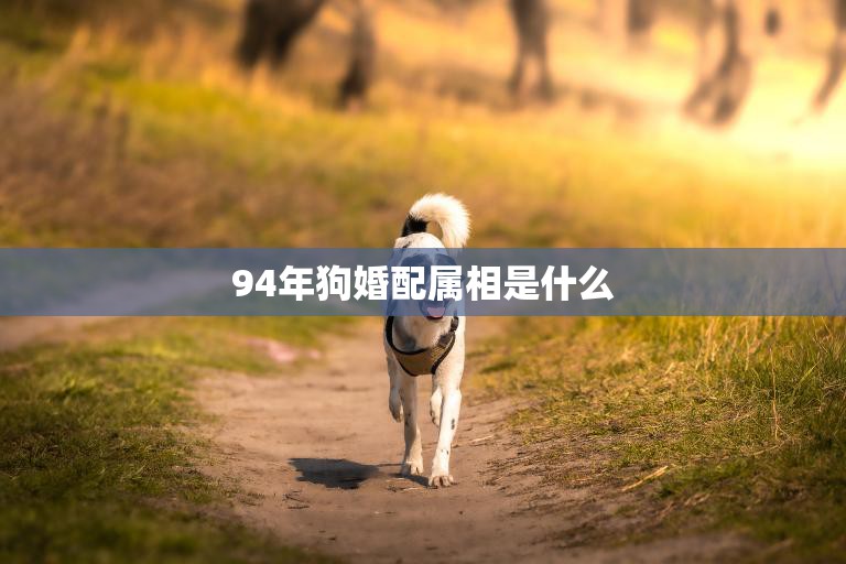 94年狗婚配属相是什么(解密狗与哪些属相最配)