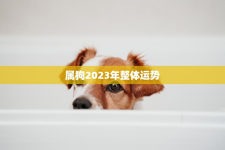 属狗2023年整体运势(狗年旺运继续财运事业双丰收)