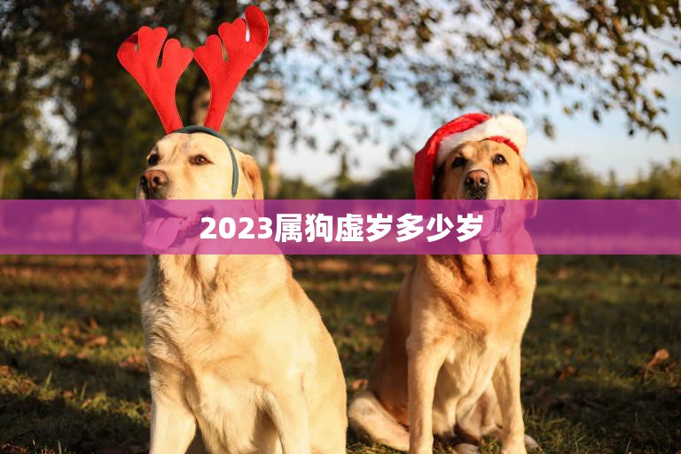 2023属狗虚岁多少岁(狗年来袭你的年龄又增加了吗)