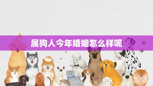 属狗人今年婚姻怎么样呢(2023年属狗人的婚姻运势分析)