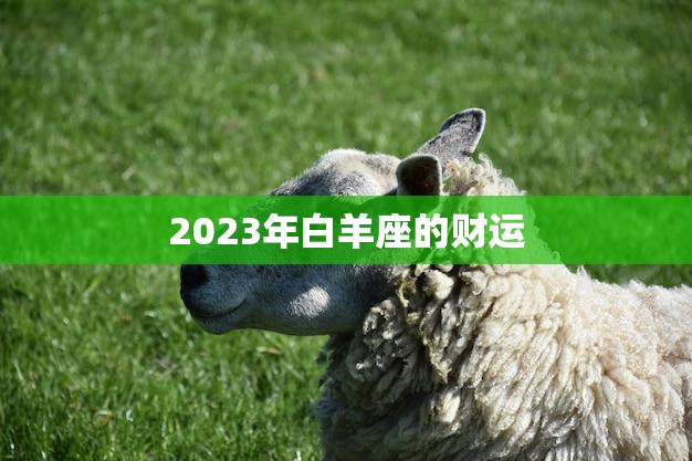 2023年白羊座的财运(财富大爆发还是小有所得)