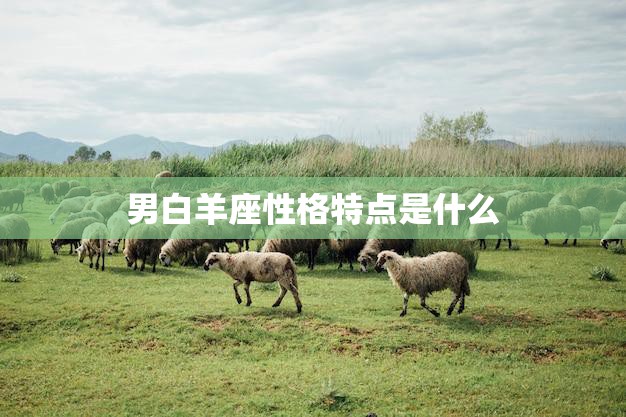 男白羊座性格特点是什么(探究热情、冲动、自信)