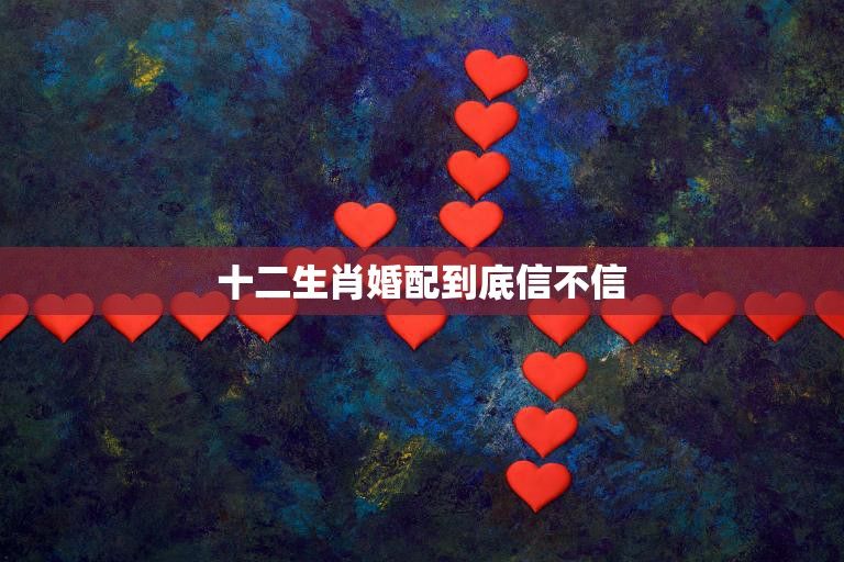 十二生肖婚配到底信不信(揭秘生肖婚配真相)