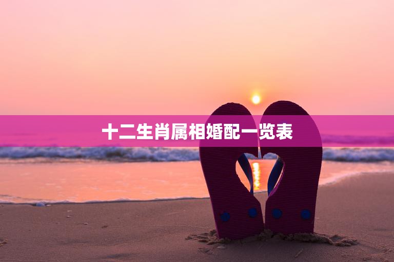 十二生肖属相婚配一览表(揭秘十二生肖的最佳婚配组合)