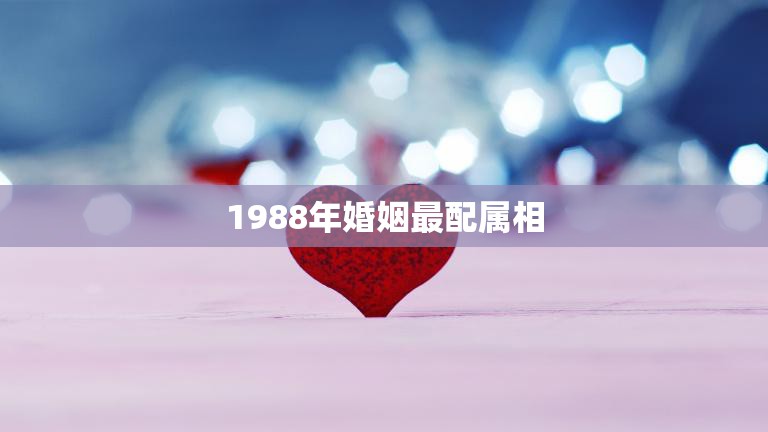 1988年婚姻最配属相(揭秘哪些属相最适合结婚)