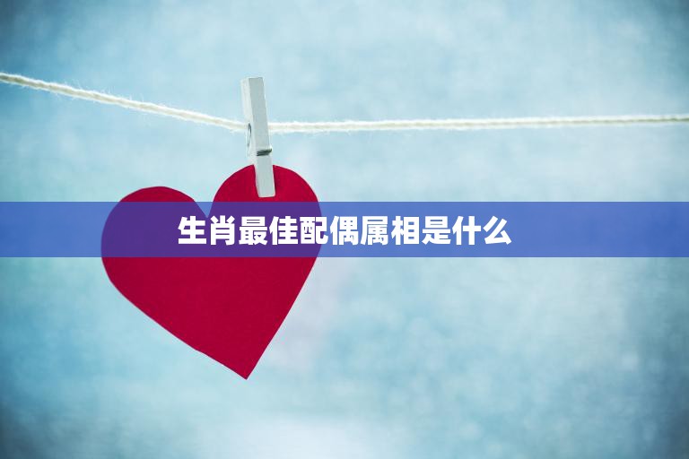 生肖最佳配偶属相是什么(揭秘十二生肖最佳配对)