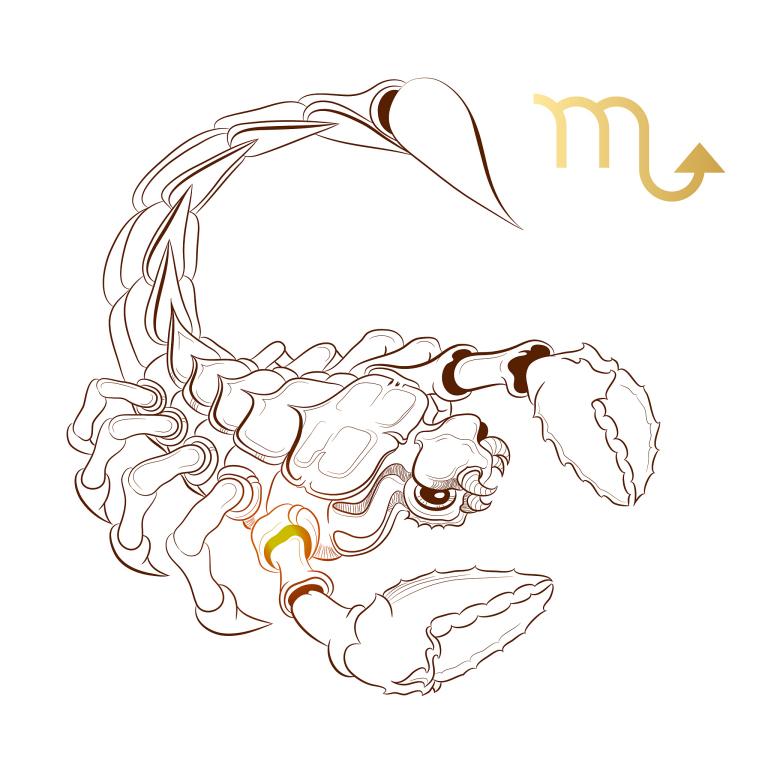 天蝎座2023年宿命姻缘(命中注定的爱情之路)