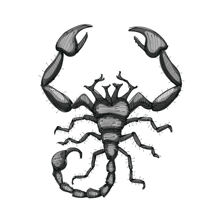 天蝎座男今年的运势(星象揭示财运旺盛感情顺利)