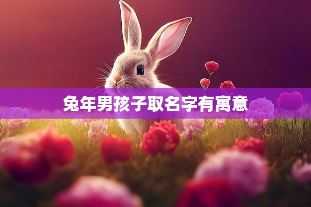兔年男孩子取名字有寓意(寓意深刻的兔年男孩子名字推荐)