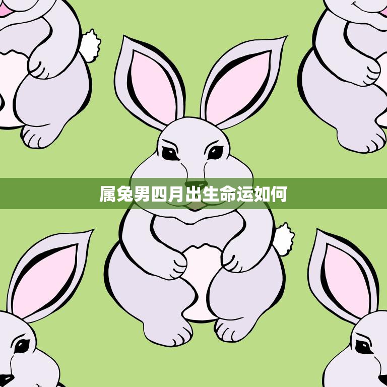 属兔男四月出生命运如何(探寻兔子男性格与运势)