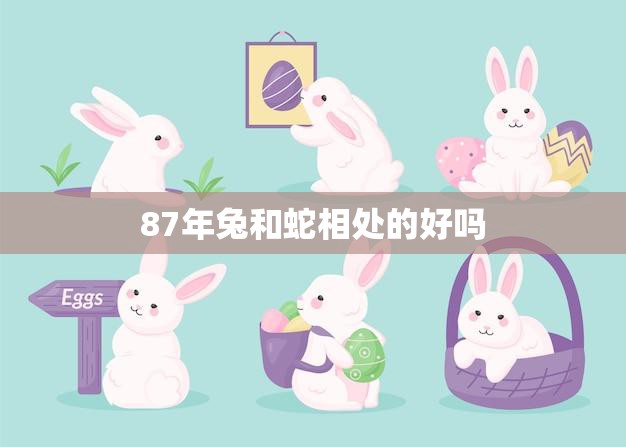 87年兔和蛇相处的好吗(如何化解生肖冲突)