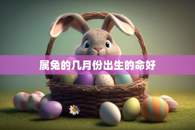属兔的几月份出生的命好(你的命运之路如何)