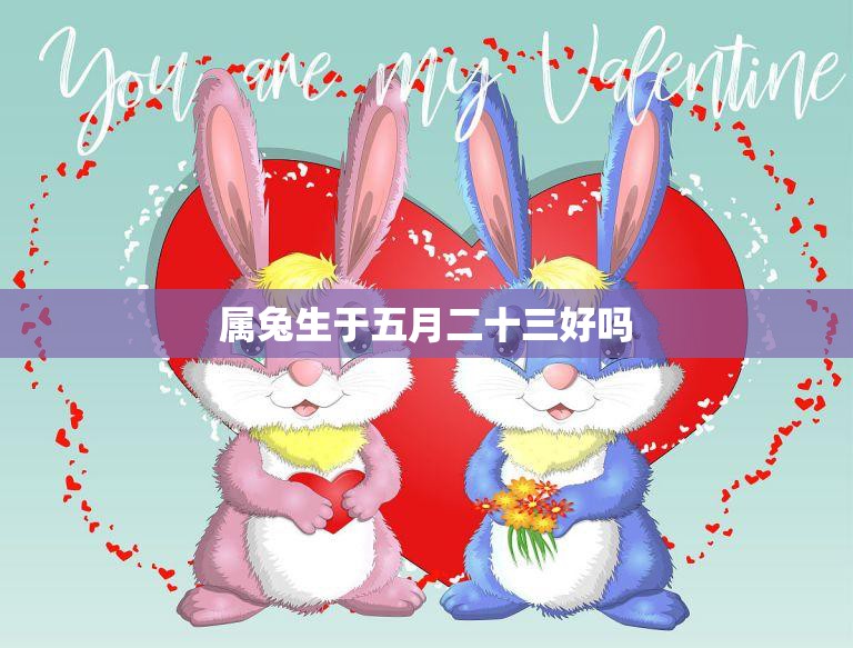属兔生于五月二十三好吗(解析兔子命运与五月二十三的奥秘)