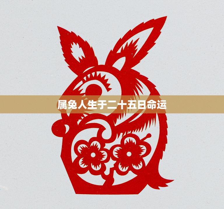 属兔人生于二十五日命运(命格高贵前途光明)
