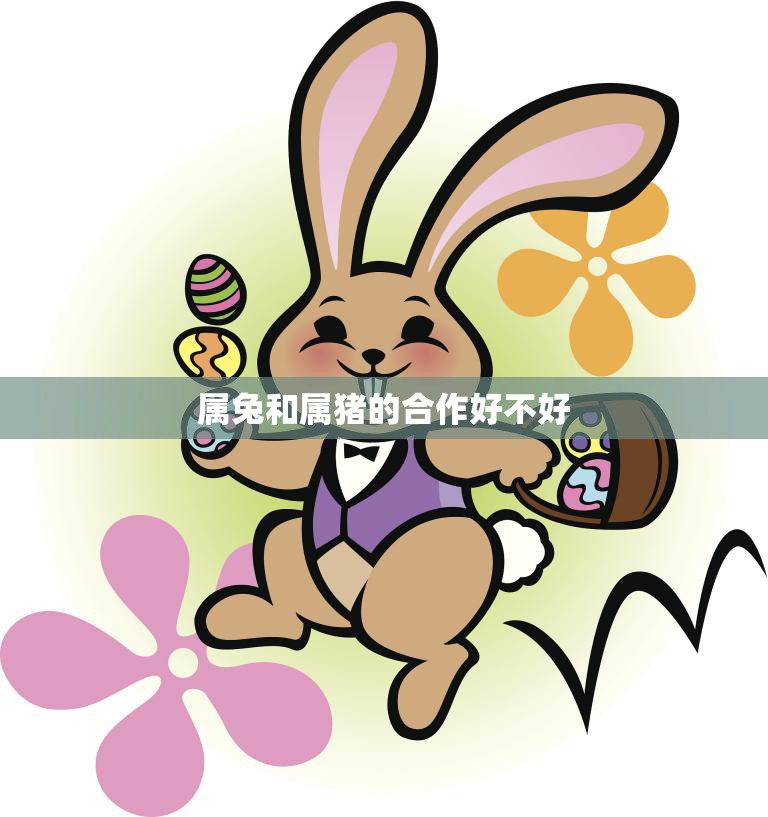 属兔和属猪的合作好不好(如何实现共赢)