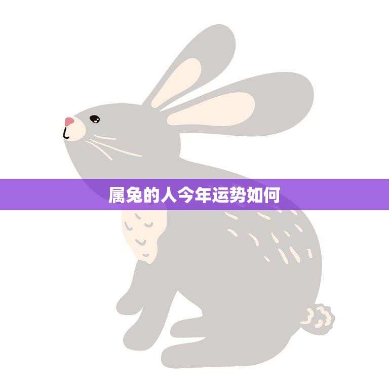 属兔的人今年运势如何(2023年属兔人的财运、事业和感情)