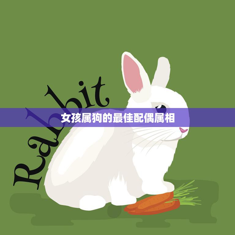女孩属狗的最佳配偶属相(狗配兔情投意合)