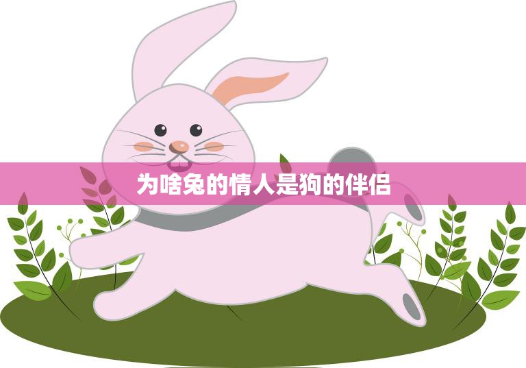 为啥兔的情人是狗的伴侣(探究兔狗之间的特殊关系)