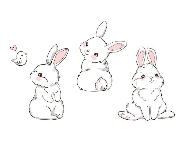 属鸡的跟属兔的结婚好吗(星座配对分析)