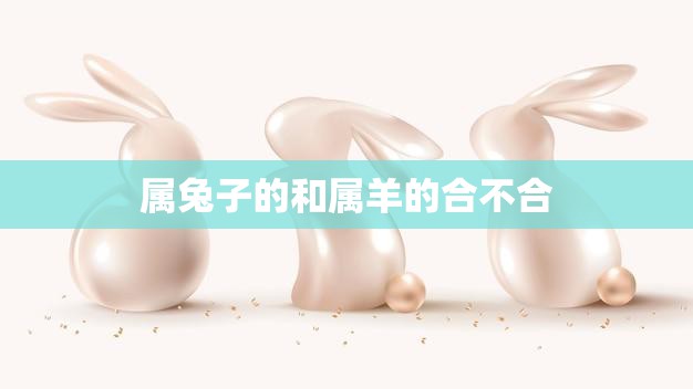 属兔子的和属羊的合不合(兔羊配合缘分难测)