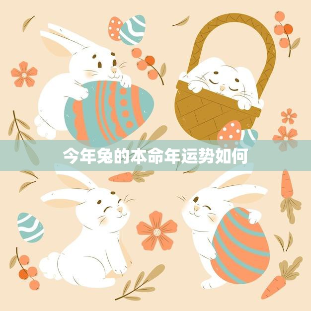 今年兔的本命年运势如何(好运连连财源滚滚)