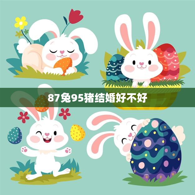 87兔95猪结婚好不好(两个不同年代的爱情是否能跨越时间的障碍)