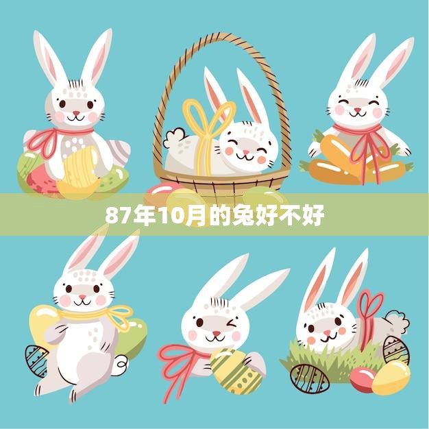 87年10月的兔好不好(回顾历史探究命运)
