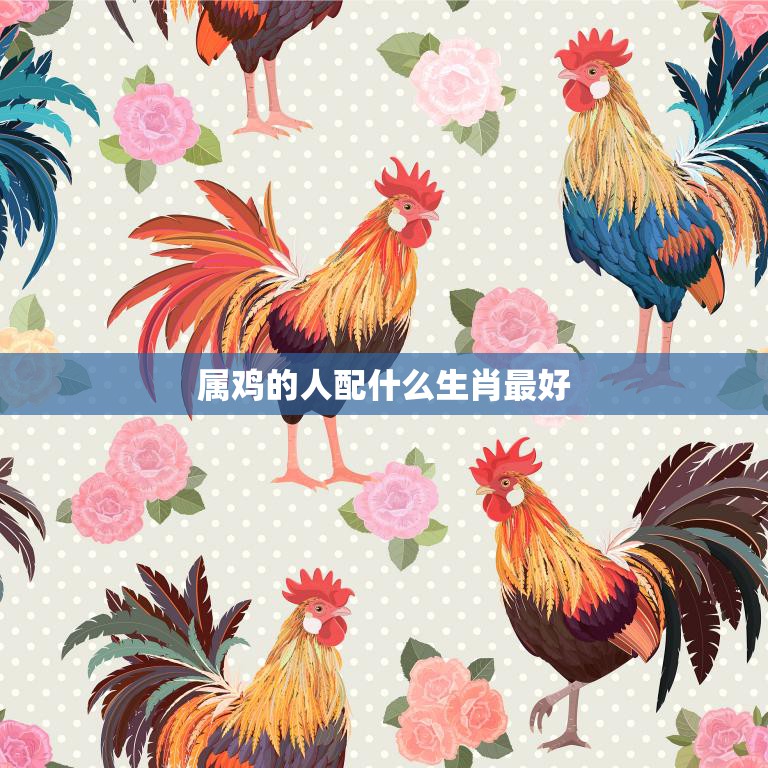 属鸡的人配什么生肖最好(最佳配对生肖大揭秘)