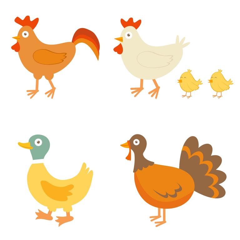 属鸡的和什么婚配最合适(如何选择最佳婚姻伴侣)