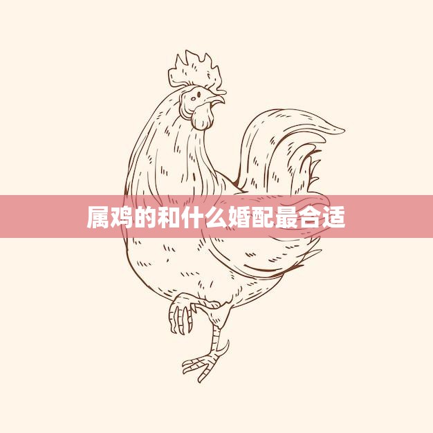属鸡的和什么婚配最合适(如何选择最佳婚姻伴侣)
