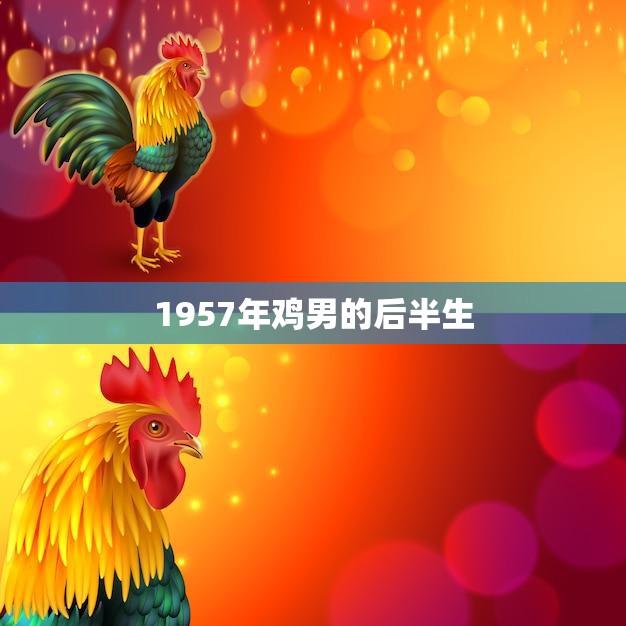1957年鸡男的后半生(从挫折到辉煌)