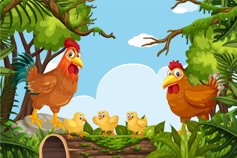 2005鸡属五行属什么(探究五行对鸡属人的影响)